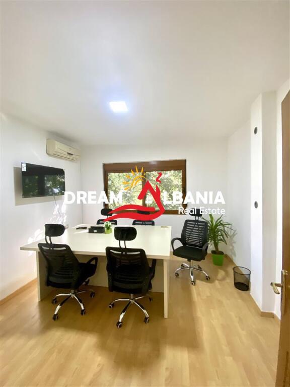Ambient zyre me qera tek 9 kateshet (ID 42611216)