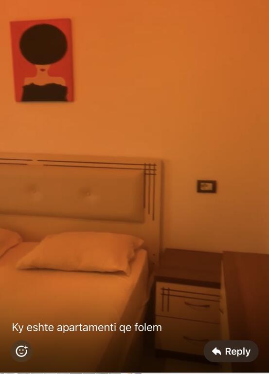 1+1, furnished, botanical garden, 450 euros