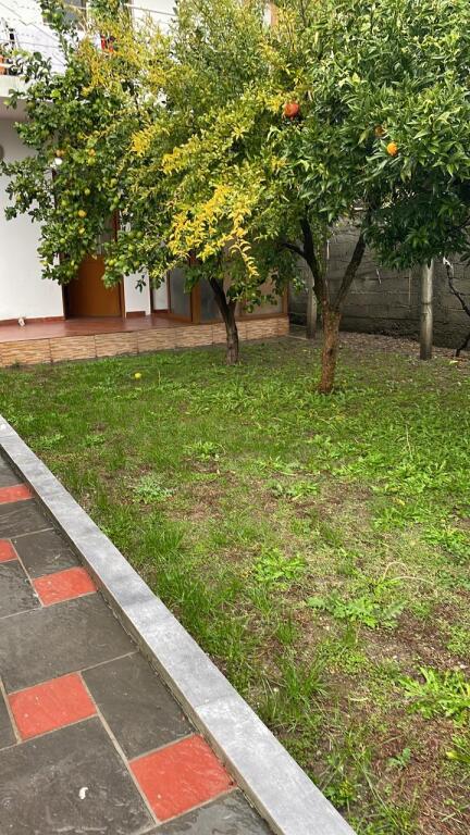 House for rent