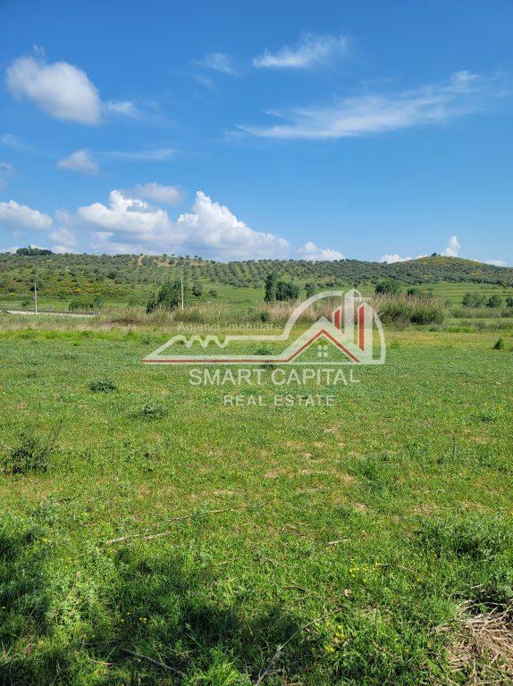 FOR SALE 3400 SQUARE METERS OF LAND ON SHERISHT - BABICE/VLORE ROAD!