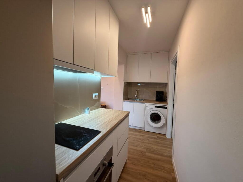 Appartamento in affitto 1+1 in Mine Peza (ID B211339) Tirana