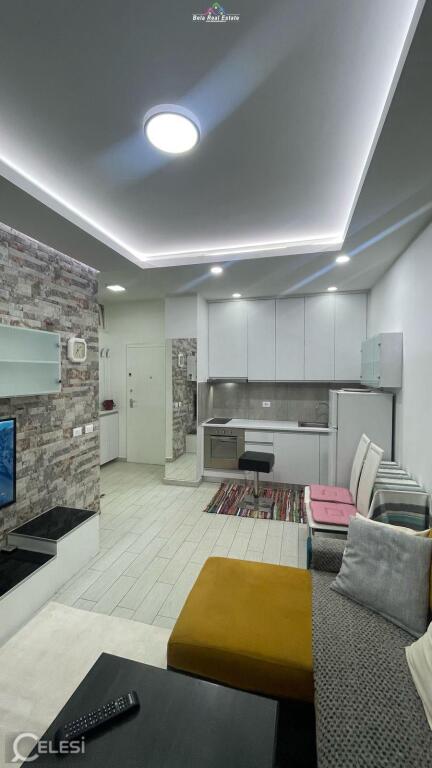 Apartment for Rent 1+1 at Komuna e Parisit (ID B2101020) Tirana
