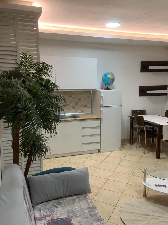 1+1 apartment for rent in the Paris Commune.