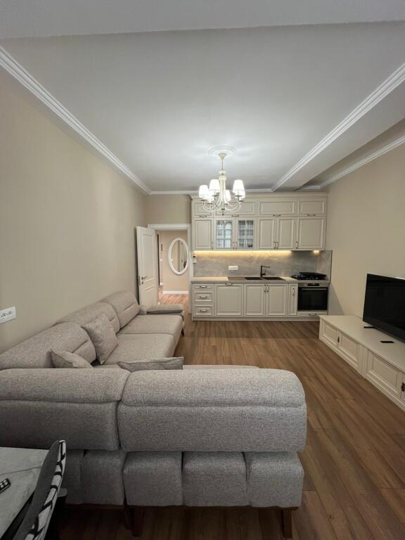 Modern 1+1 apartment for rent, Ballet School