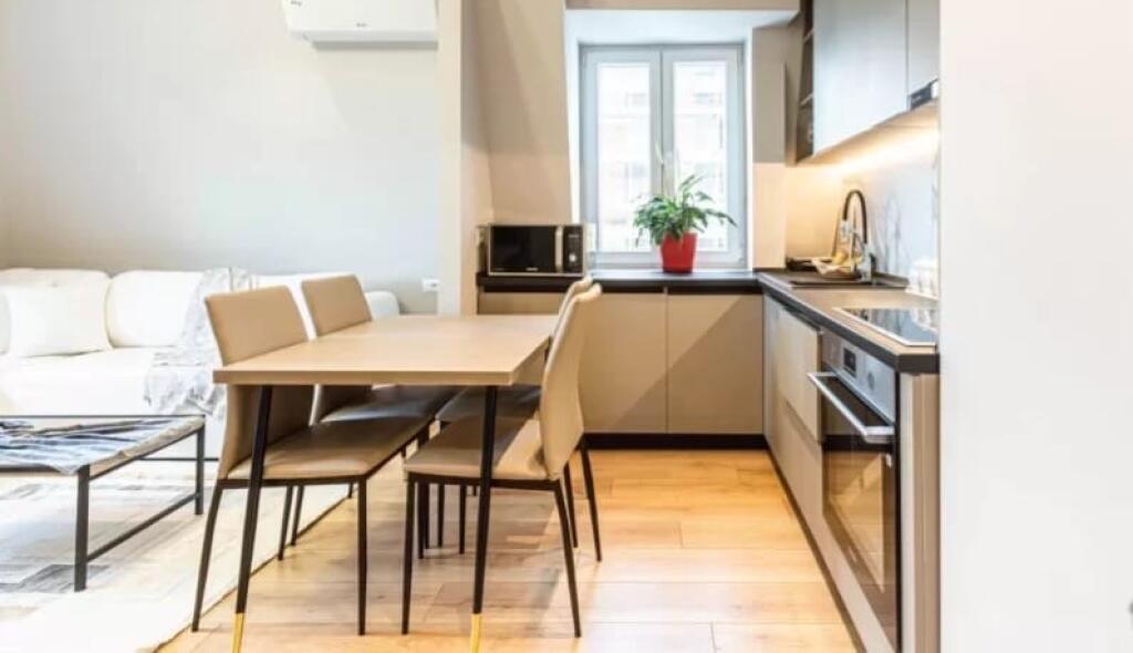 A great 1+1 apartment for rent near Dinamo Stadium.