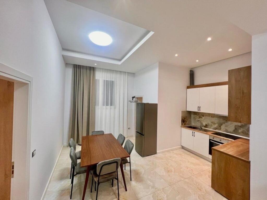 APARTMENT FOR RENT 2+1 SELITE 550 EURO