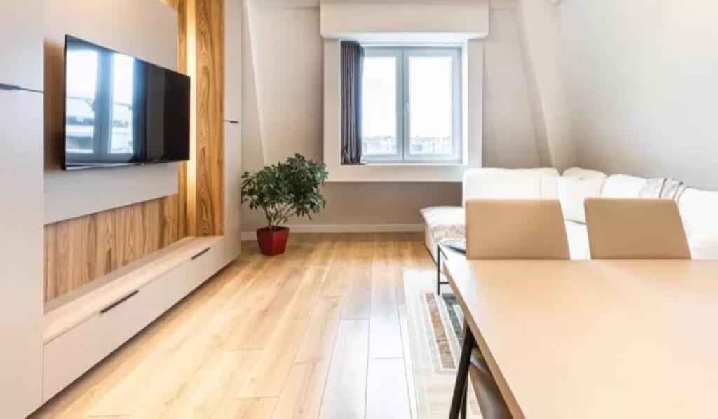 A great 1+1 apartment for rent near Dinamo Stadium.