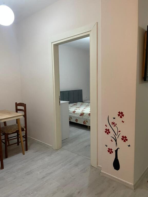 Apartment 1+1 for Rent | Frosina Plaku Street, Tirana