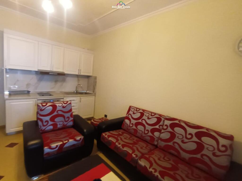 Apartment for Rent 1+1 Near the Ballet School (ID B210550) Tirana.