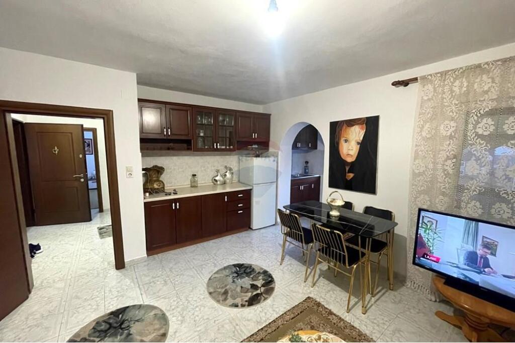 1+1 Apartment Tregu i Ri Electric