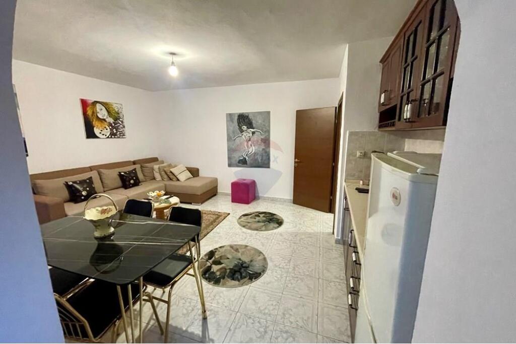 1+1 Apartment Tregu i Ri Electric