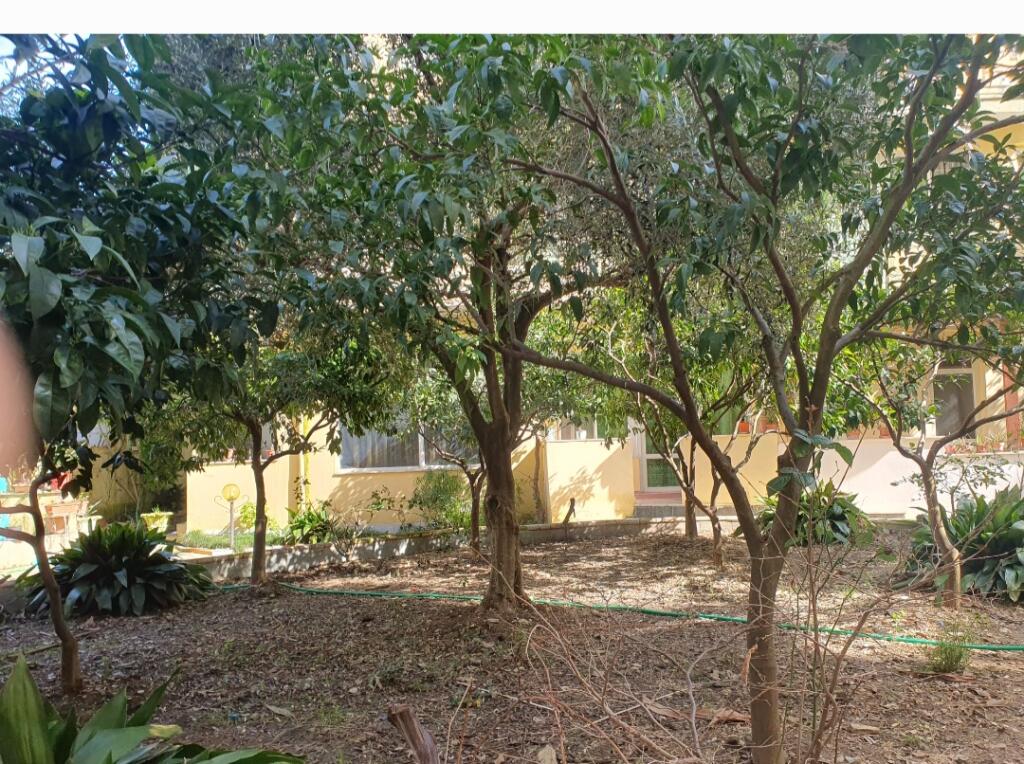 For sale 1+1 apartment Golem (Lis Complex)