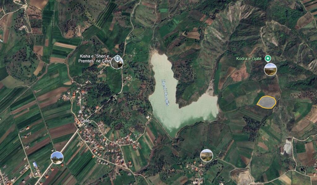 Kavajë, terreno (360 alberi di ulivo di 12 anni) villaggio Çete