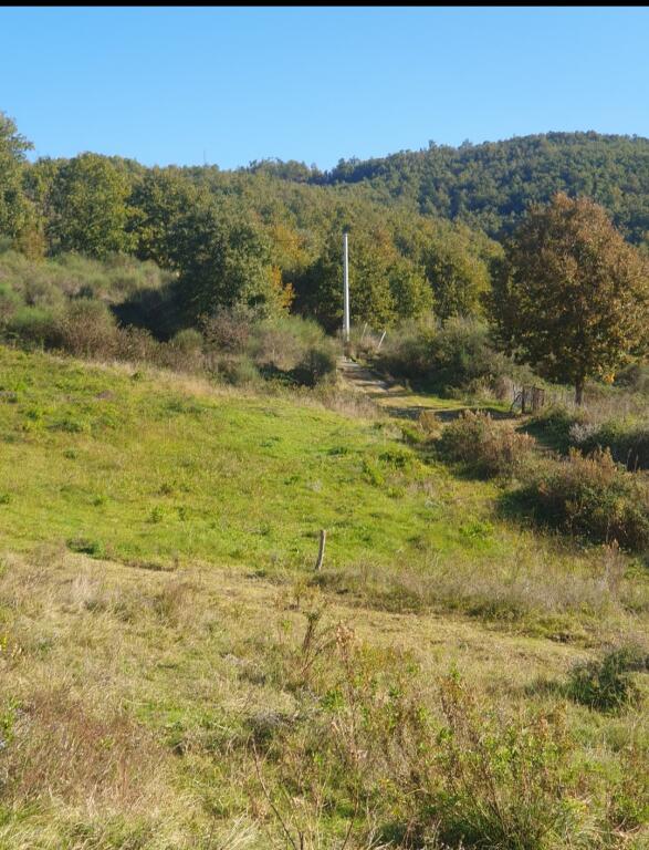 Land for sale in Lalzi Bay.