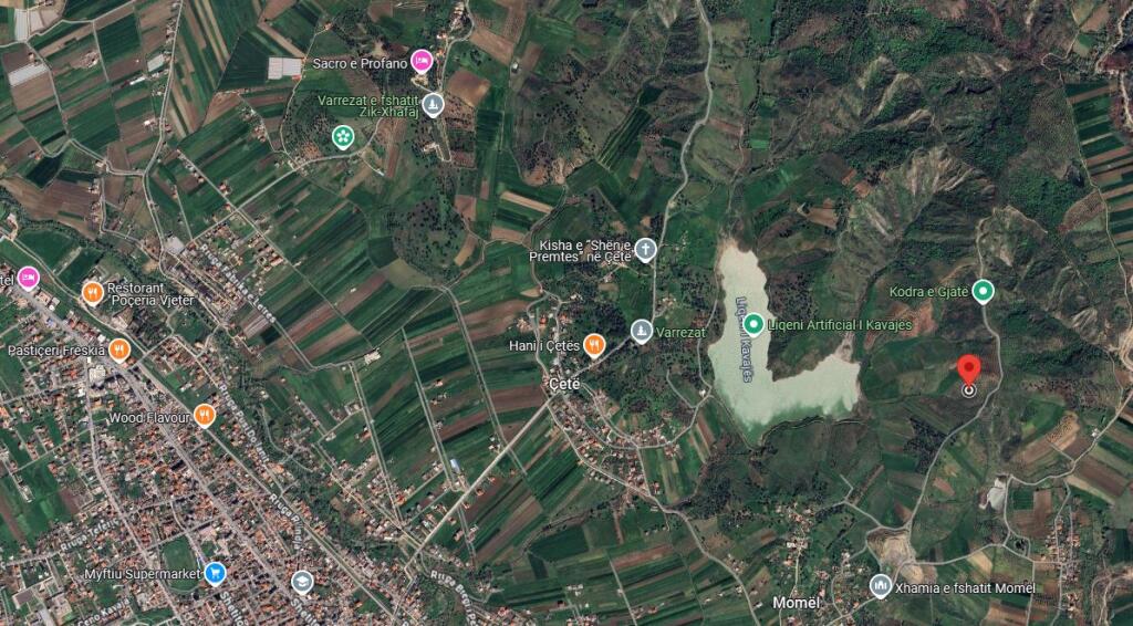 Kavajë, terreno (360 alberi di ulivo di 12 anni) villaggio Çete