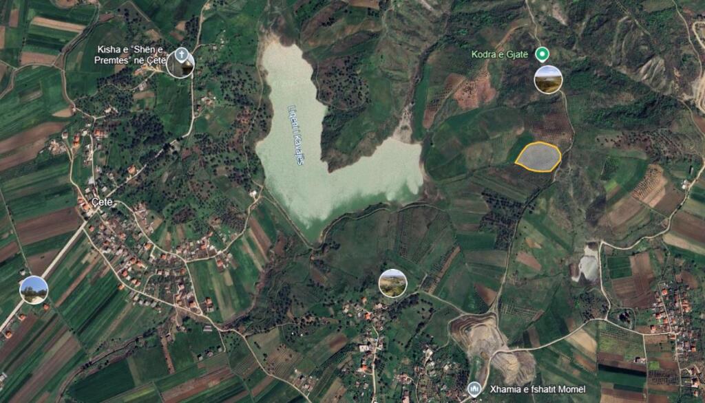 Kavajë, terreno (360 alberi di ulivo di 12 anni) villaggio Çete