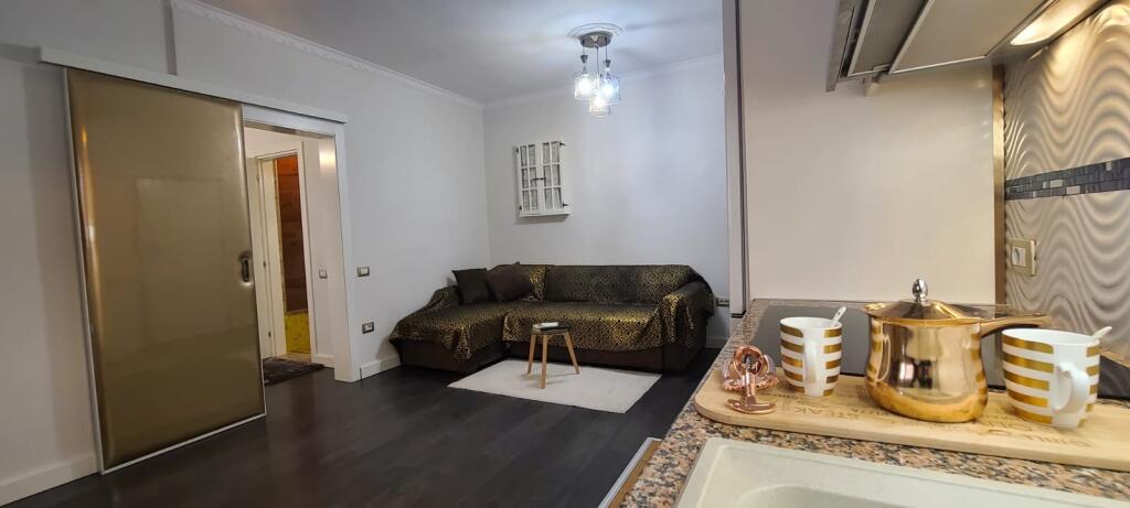 1+1, furnished, Paris municipality
