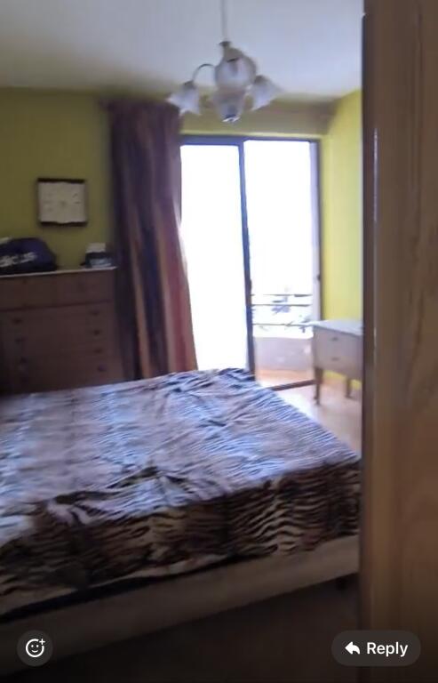 1+1 apartment, furnished near the ballet school.