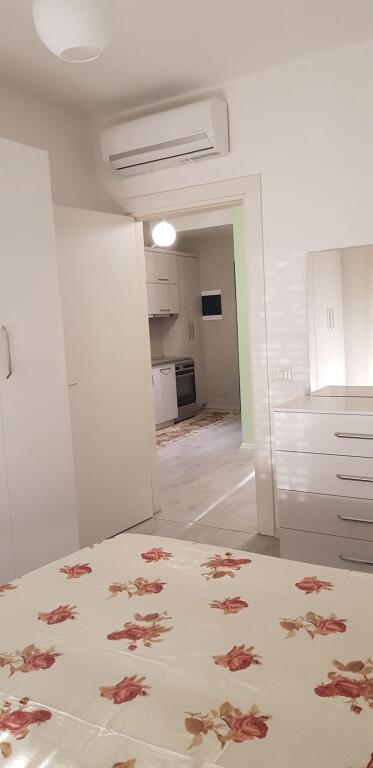 1+1 apartment for rent December 21