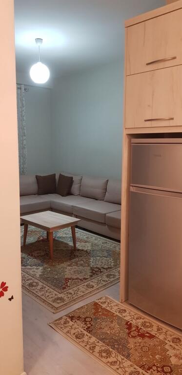 1+1 apartment for rent December 21