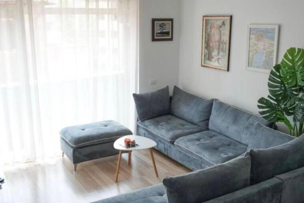 Apartment 1+1 for rent, CENTER opposite Toptani