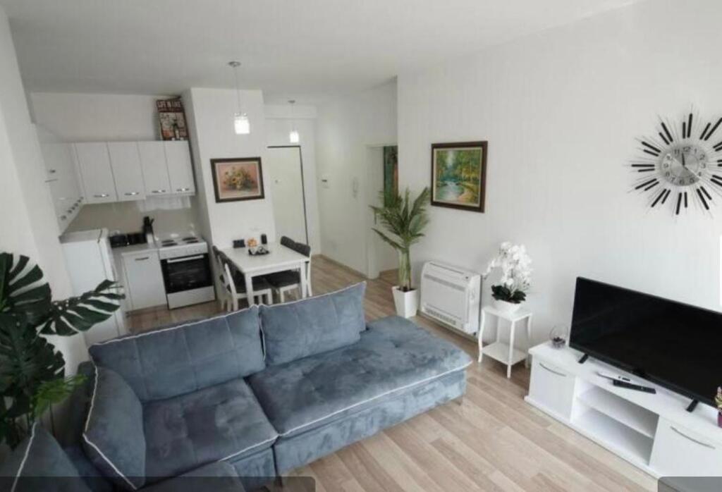 Apartment 1+1 for rent, CENTER opposite Toptani