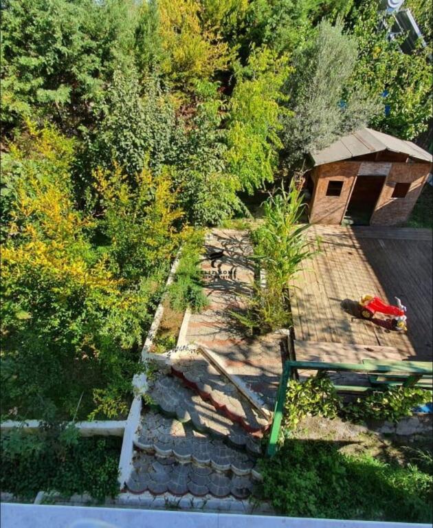 SHITET VILE 1000 M2 PEZE E VOGEL