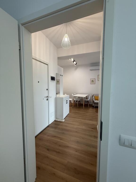 1+1 apartment
