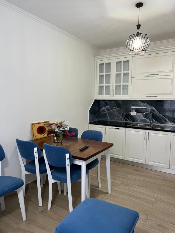 Apartament 1+1 me qira Astir Vila L2
