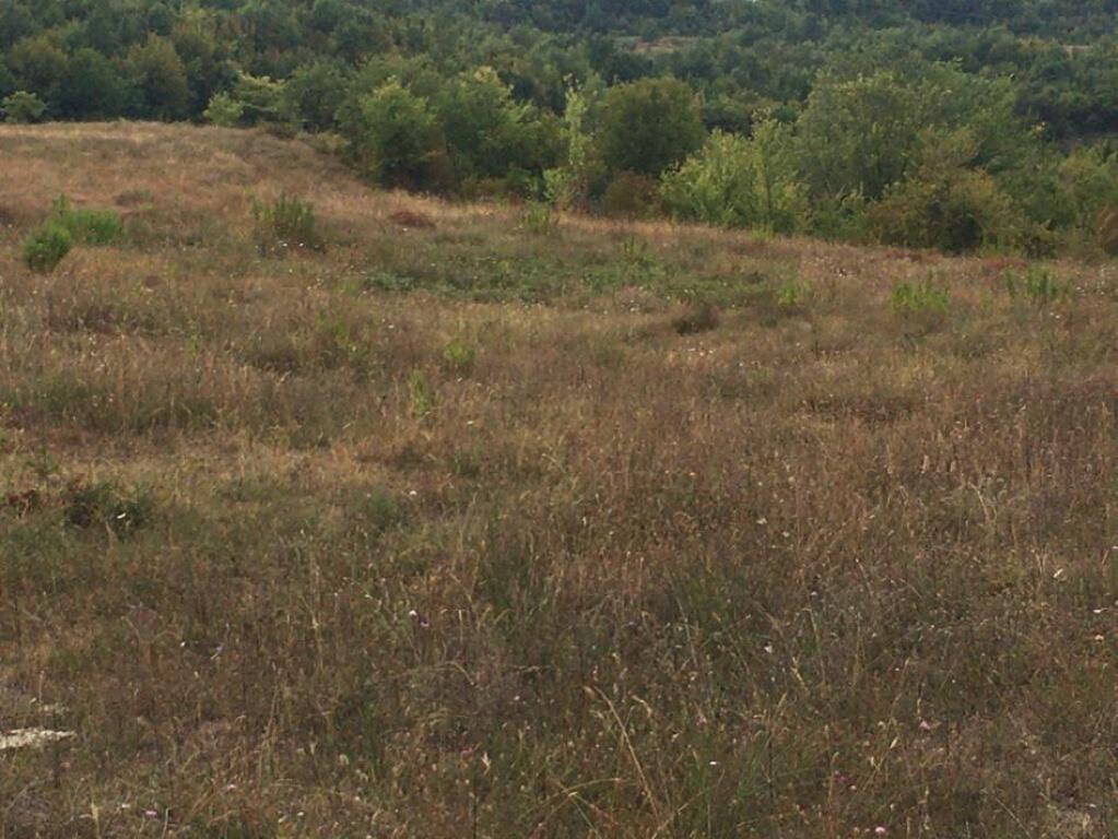 Terreno in vendita a Gurra e Vogel