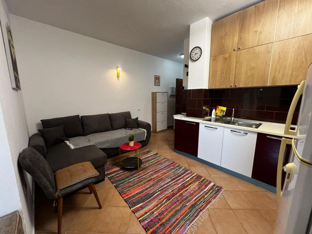 1+1 apartment for rent 5 May