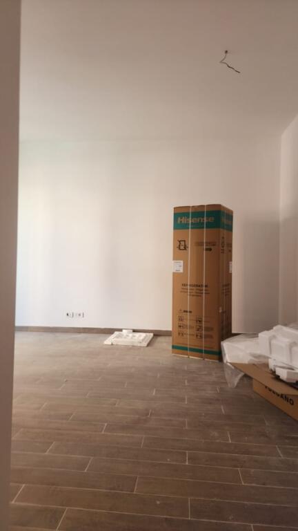 2+1 apartment for rent in Delijorgji