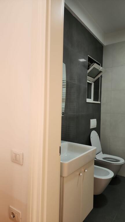 1+1 apartment for rent Elbasan Street