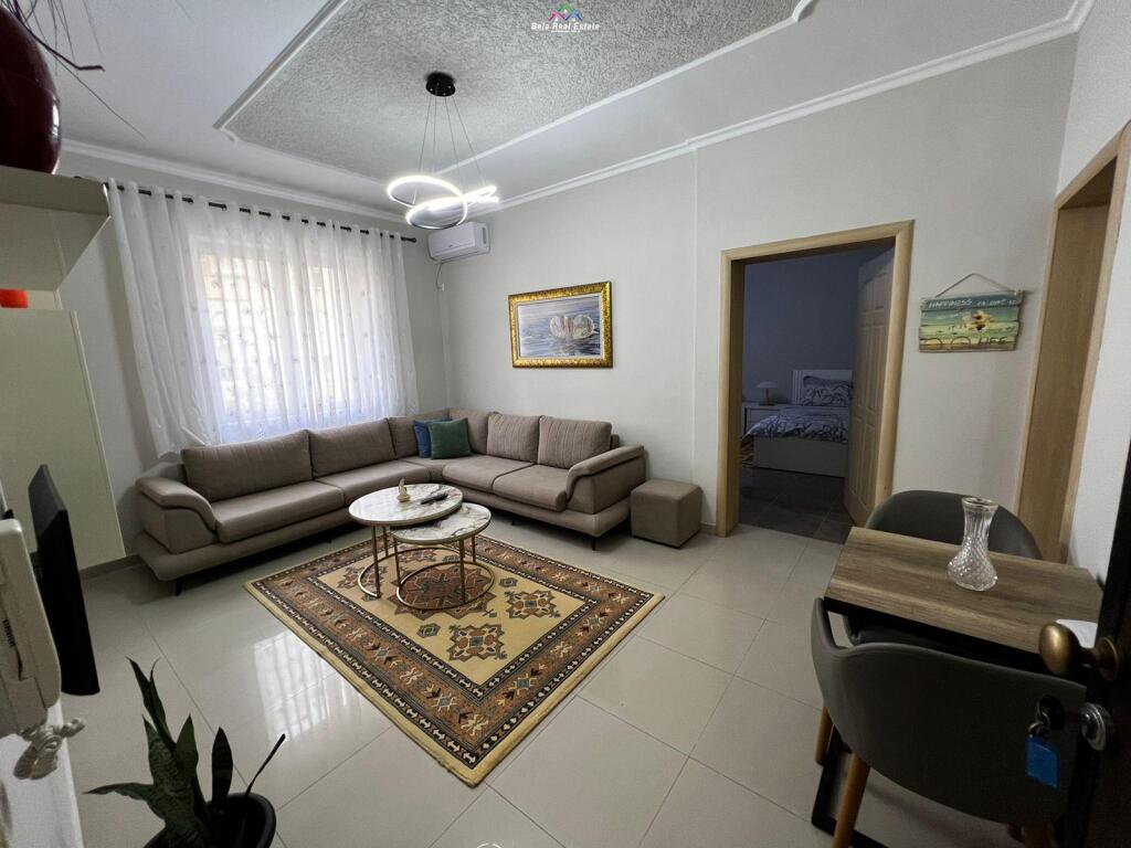Apartment for Rent 1+1 Near the Ballet School (ID B210542) Tirana.