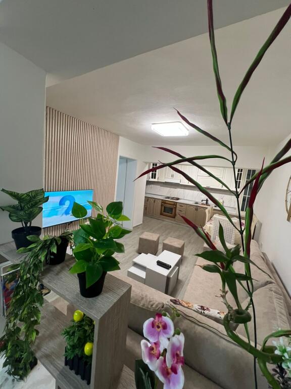 Rent 2+1 at Zogu i Zi