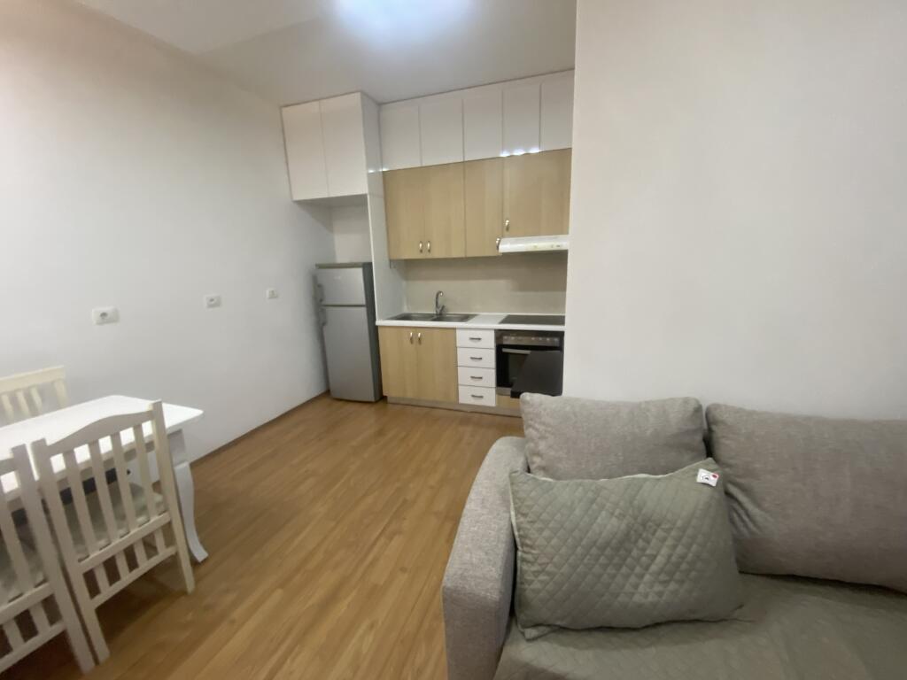1+1, furnished, dry lake