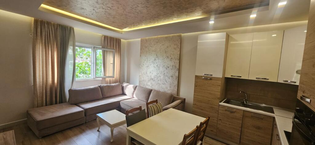 Luxury 1+1 apartment for rent
