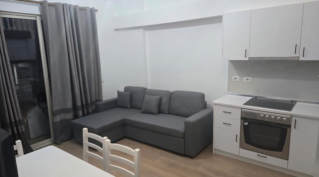 APARTMENT FOR RENT 1+1