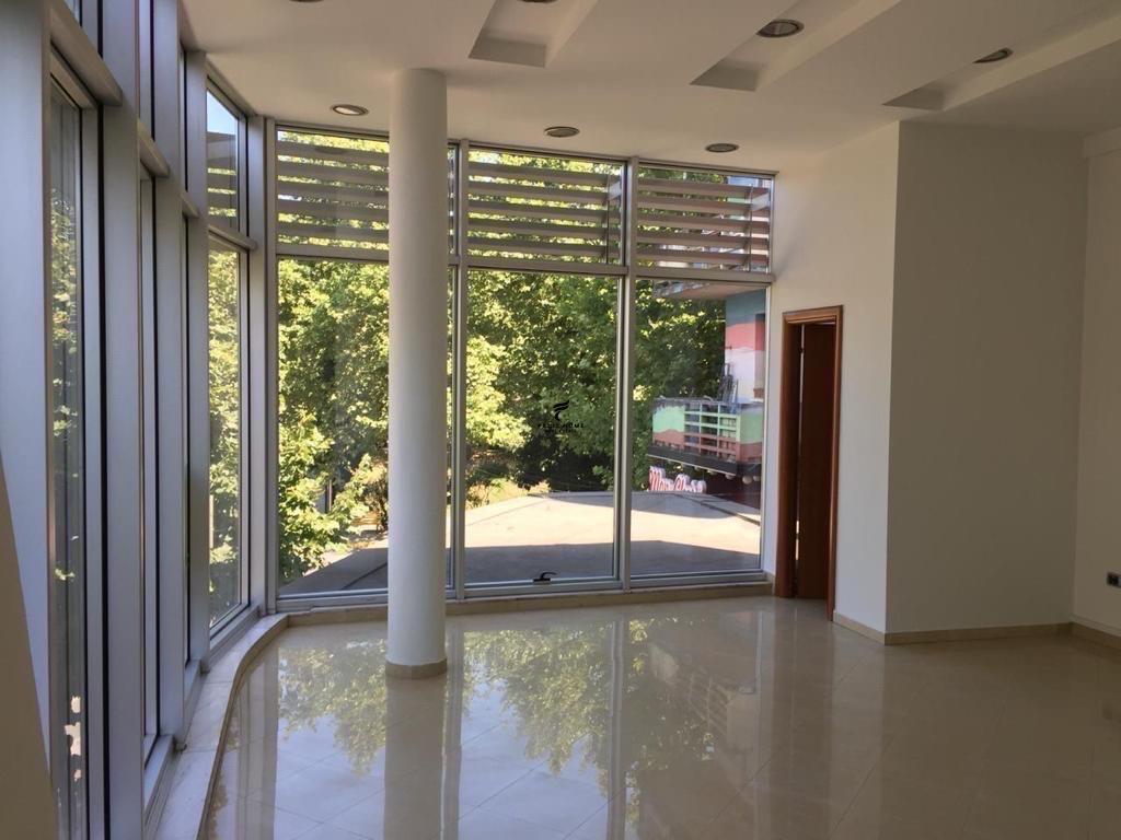 AMBIENT BIZNESI ME QERA 40 M2 VASIL SHANTO
