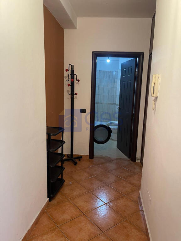 In affitto appartamento 1+1 a Fresk, Tirana