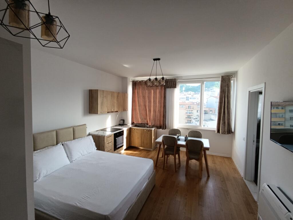 Apartment 1+1 and garage for rent, at Kristal center bridge.