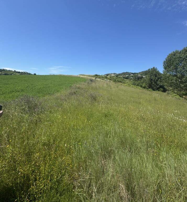 Land for sale