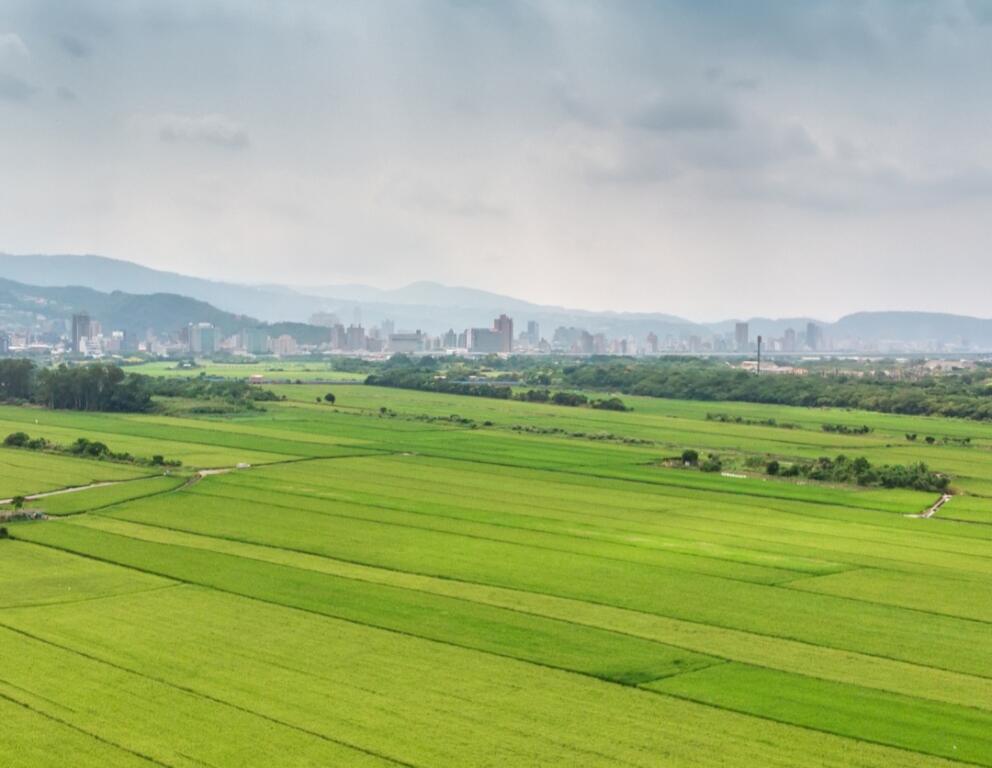 TOKE PER SHITJE NE SHKOZE 426 M2