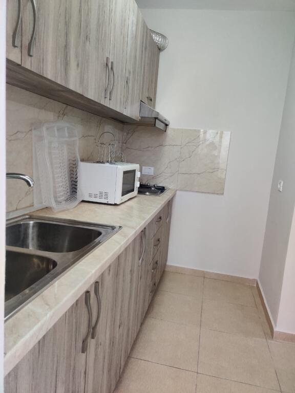 APARTMENT FOR RENT 1+1