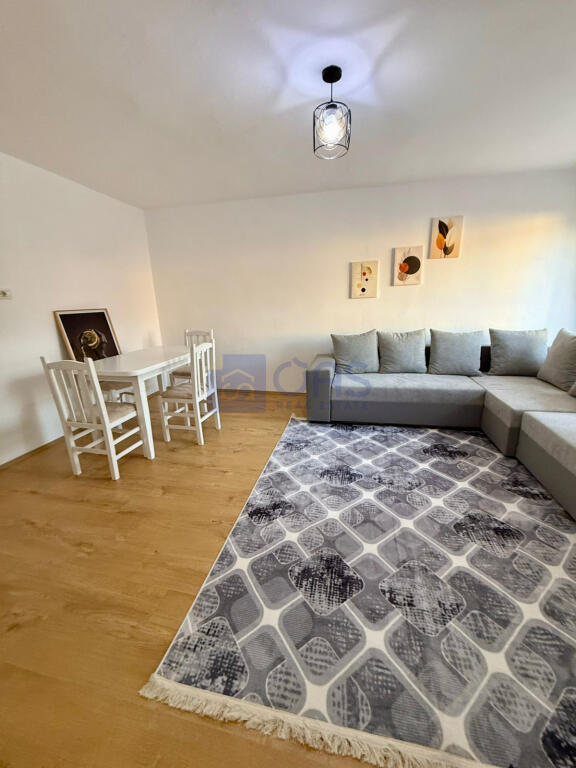 1+1 apartment for rent on Bardhyl Street