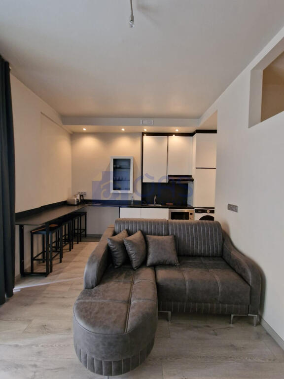 1+1 apartment for rent near the Zoo