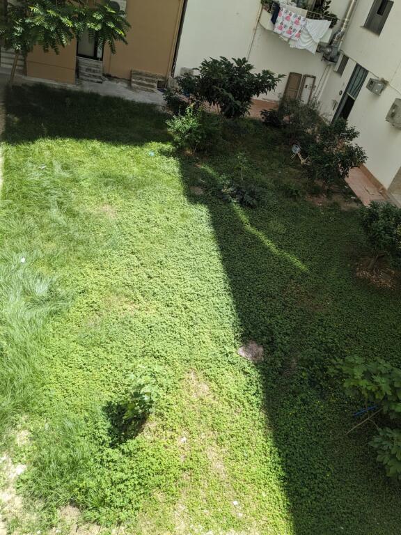 Studio for rent in Lungomare - first line