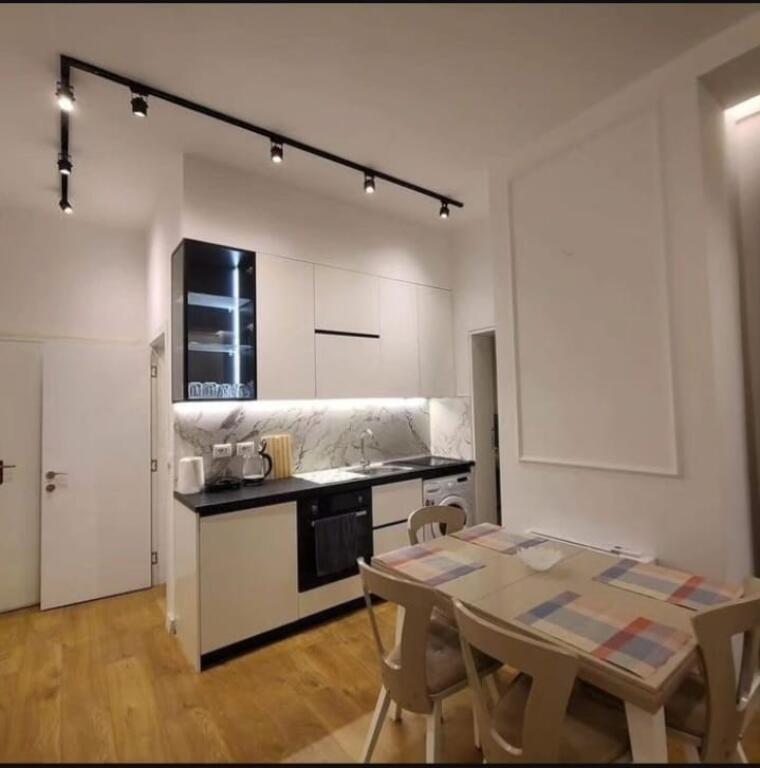 Appartamento 1+1 in affitto Vasil Shanto Tirana