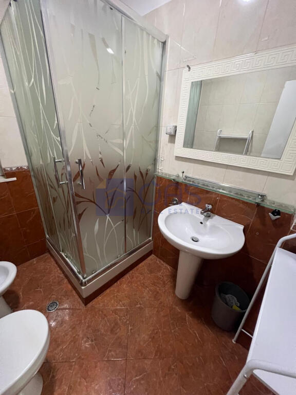 Apartment 1+1 for rent at the Zoological Garden