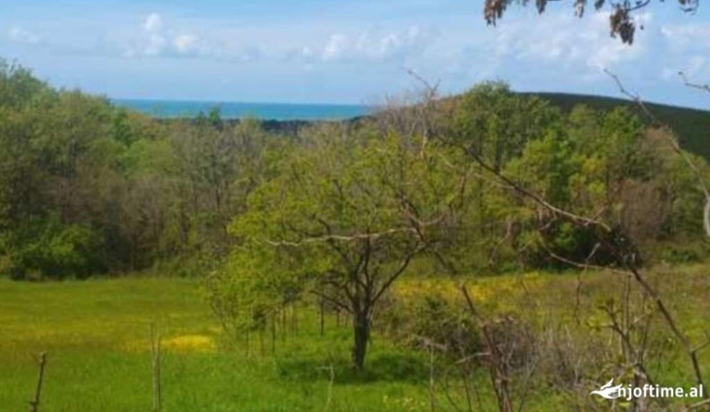 Land for sale in Lalzit Bay